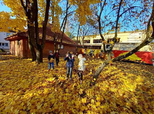 Gr. IV Jesień w ogrodzie