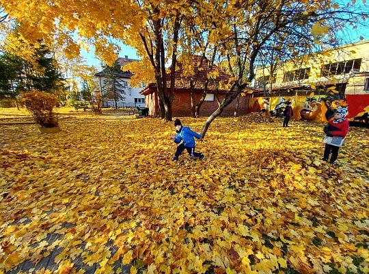 Gr. IV Jesień w ogrodzie