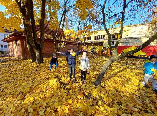 Gr. IV Jesień w ogrodzie