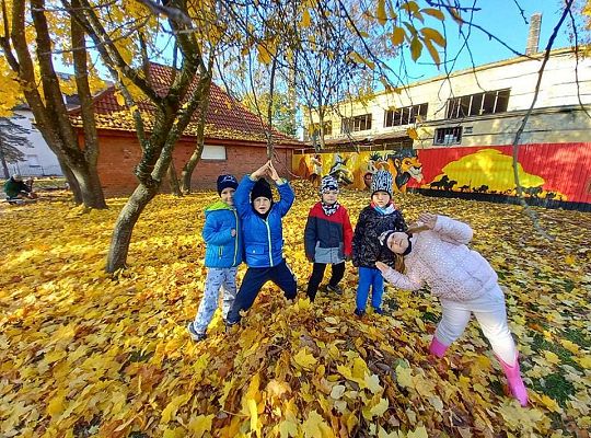 Gr. IV Jesień w ogrodzie