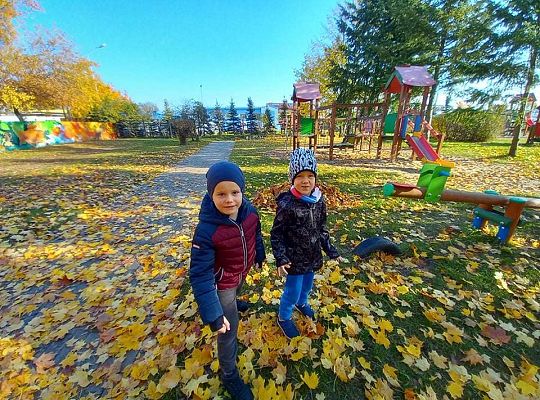 Gr. IV Jesień w ogrodzie