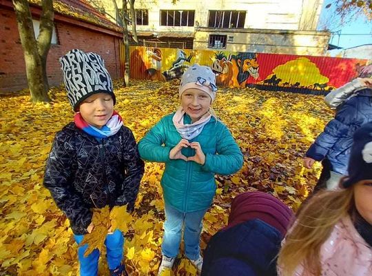 Gr. IV Jesień w ogrodzie