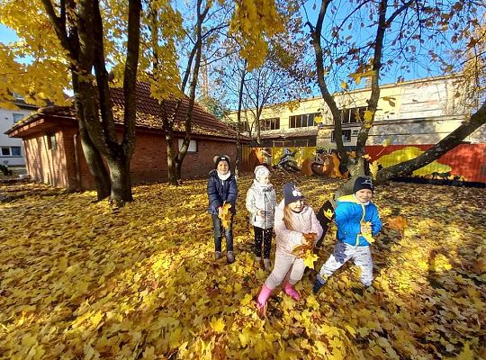 Gr. IV Jesień w ogrodzie