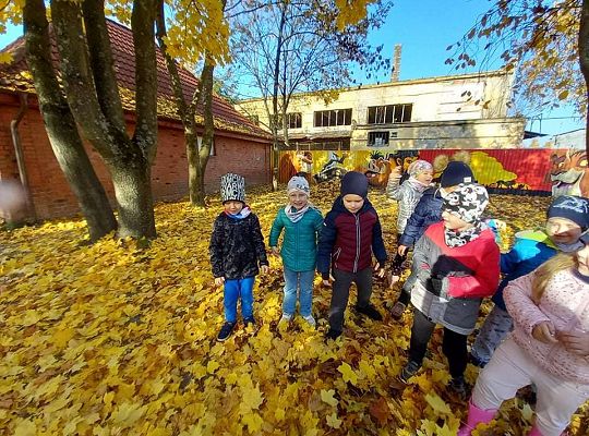 Gr. IV Jesień w ogrodzie