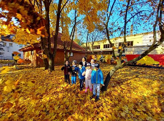 Gr. IV Jesień w ogrodzie