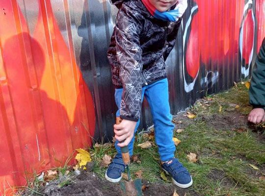 Nowe rośliny w przedszkolnym ogrodzie