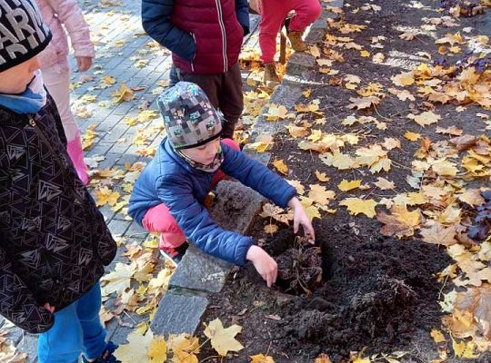 Nowe rośliny w przedszkolnym ogrodzie