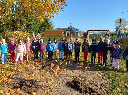 Nowe rośliny w przedszkolnym ogrodzie