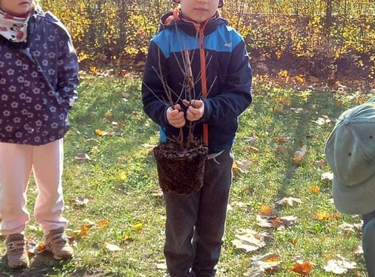 Nowe rośliny w przedszkolnym ogrodzie