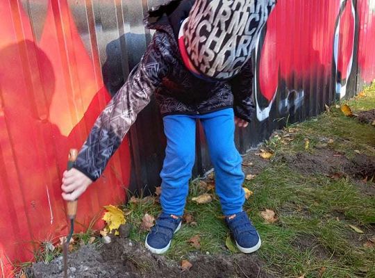 Nowe rośliny w przedszkolnym ogrodzie
