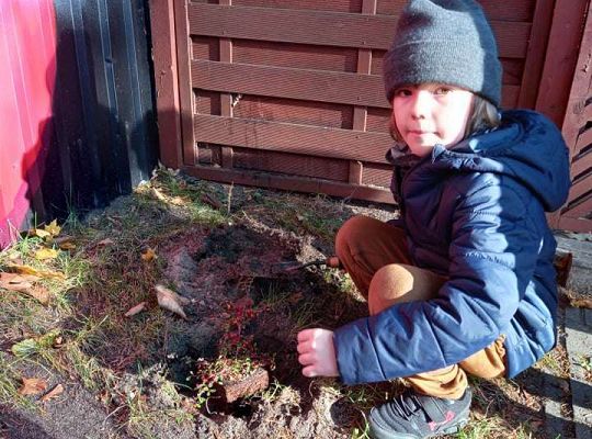 Nowe rośliny w przedszkolnym ogrodzie