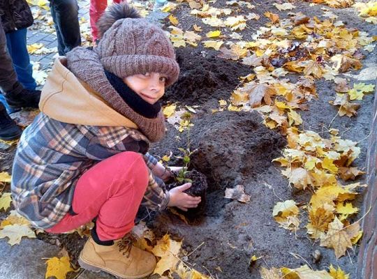 Nowe rośliny w przedszkolnym ogrodzie
