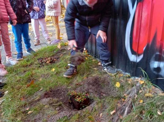 Nowe rośliny w przedszkolnym ogrodzie