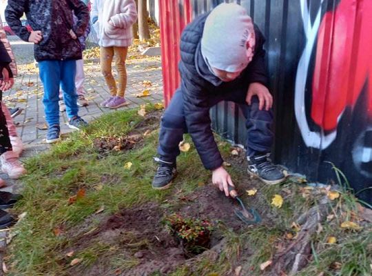Nowe rośliny w przedszkolnym ogrodzie