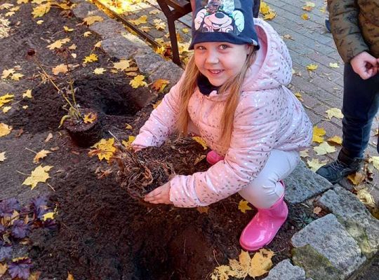 Nowe rośliny w przedszkolnym ogrodzie