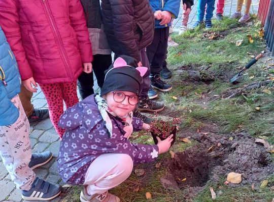 Nowe rośliny w przedszkolnym ogrodzie