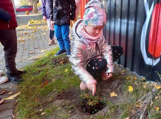 Nowe rośliny w przedszkolnym ogrodzie