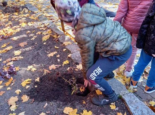 Nowe rośliny w przedszkolnym ogrodzie