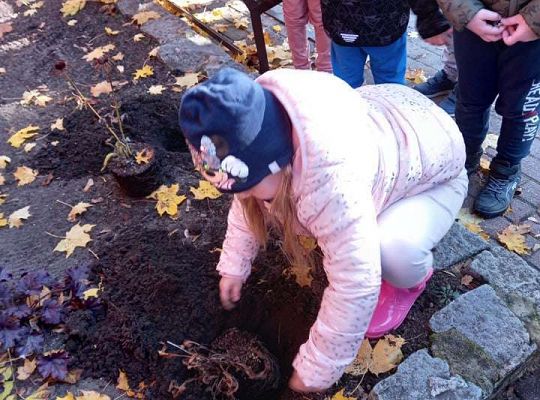 Nowe rośliny w przedszkolnym ogrodzie