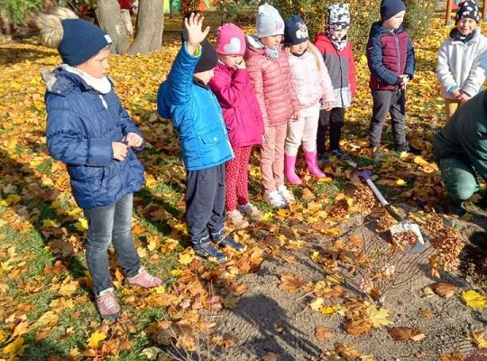 Nowe rośliny w przedszkolnym ogrodzie