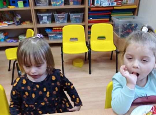 GR. I Urodzinki Olci