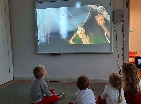 Gr III "Przyjaciele Zippiego"