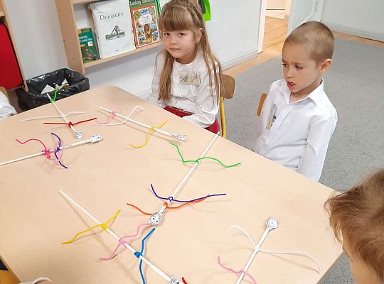 Gr III "Przyjaciele Zippiego"