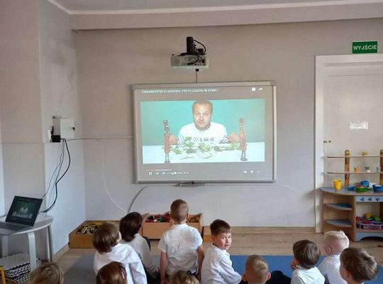 Gr. IV "Przyjaciele Zippiego"