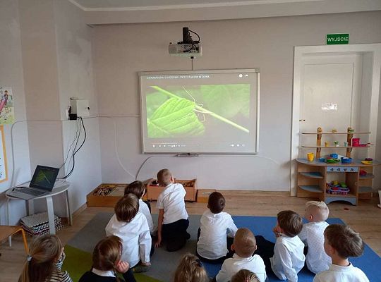 Gr. IV "Przyjaciele Zippiego"