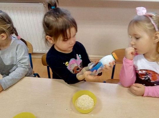 GR. II Zajęcia z projektu "Akademia Kici Koci"