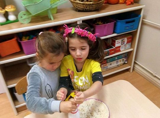 GR. II Zajęcia z projektu "Akademia Kici Koci"