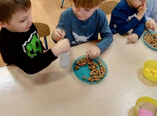 GR. II Zajęcia z projektu "Akademia Kici Koci"