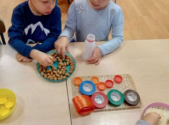 GR. II Zajęcia z projektu "Akademia Kici Koci"