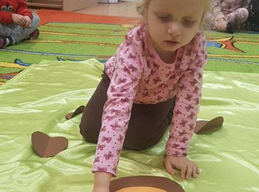 GR. II Dzień Pluszowego Misia