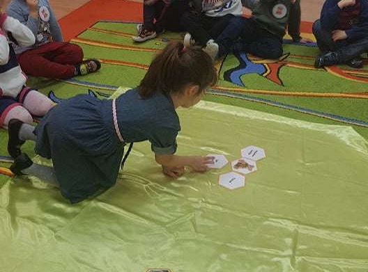 GR. II Dzień Pluszowego Misia