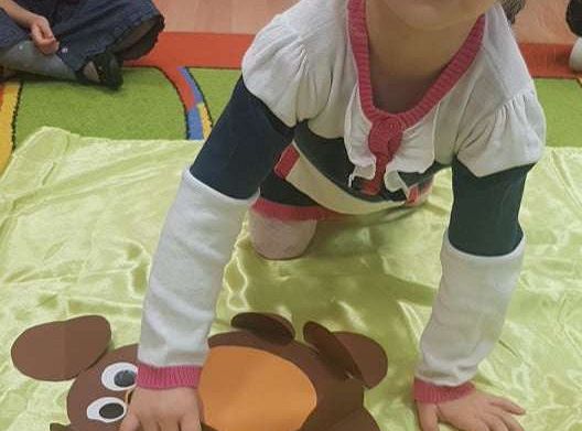 GR. II Dzień Pluszowego Misia