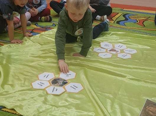 GR. II Dzień Pluszowego Misia