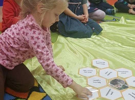 GR. II Dzień Pluszowego Misia