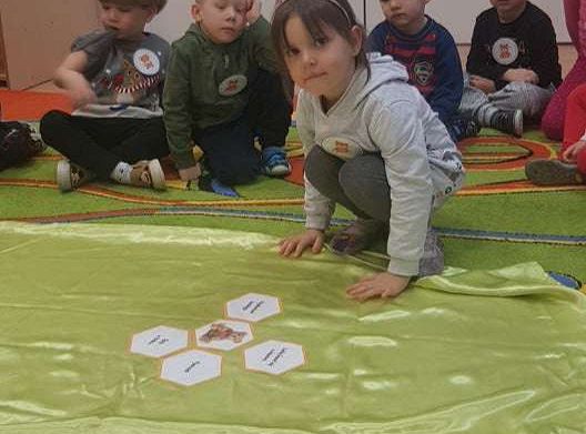 GR. II Dzień Pluszowego Misia