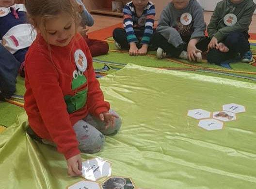 GR. II Dzień Pluszowego Misia