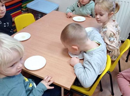 GR. I Dzień Pluszowego Misia