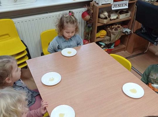 GR. I Dzień Pluszowego Misia