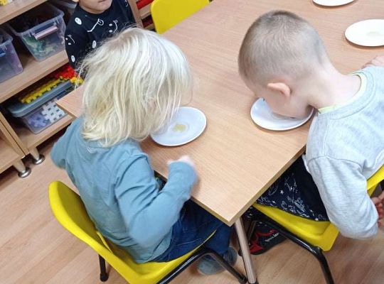 GR. I Dzień Pluszowego Misia