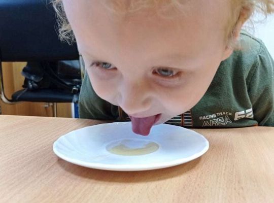 GR. I Dzień Pluszowego Misia