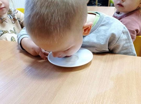 GR. I Dzień Pluszowego Misia