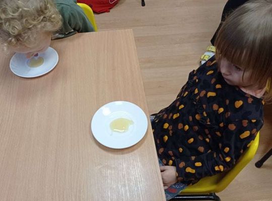 GR. I Dzień Pluszowego Misia