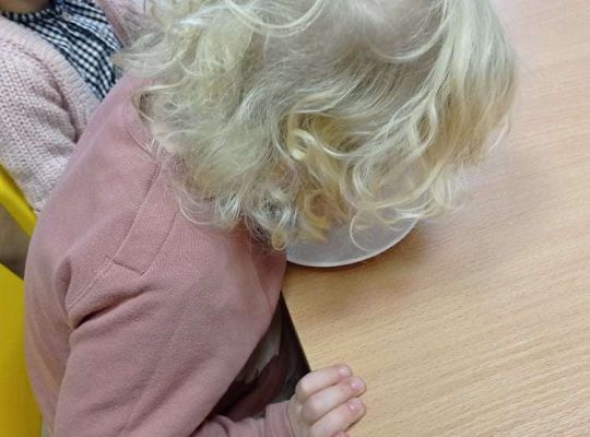 GR. I Dzień Pluszowego Misia