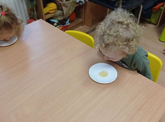 GR. I Dzień Pluszowego Misia