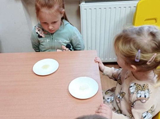 GR. I Dzień Pluszowego Misia