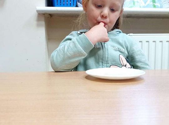 GR. I Dzień Pluszowego Misia